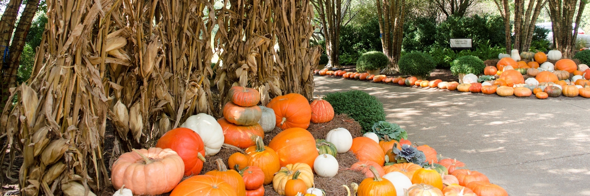 Fall in Middle Tennessee