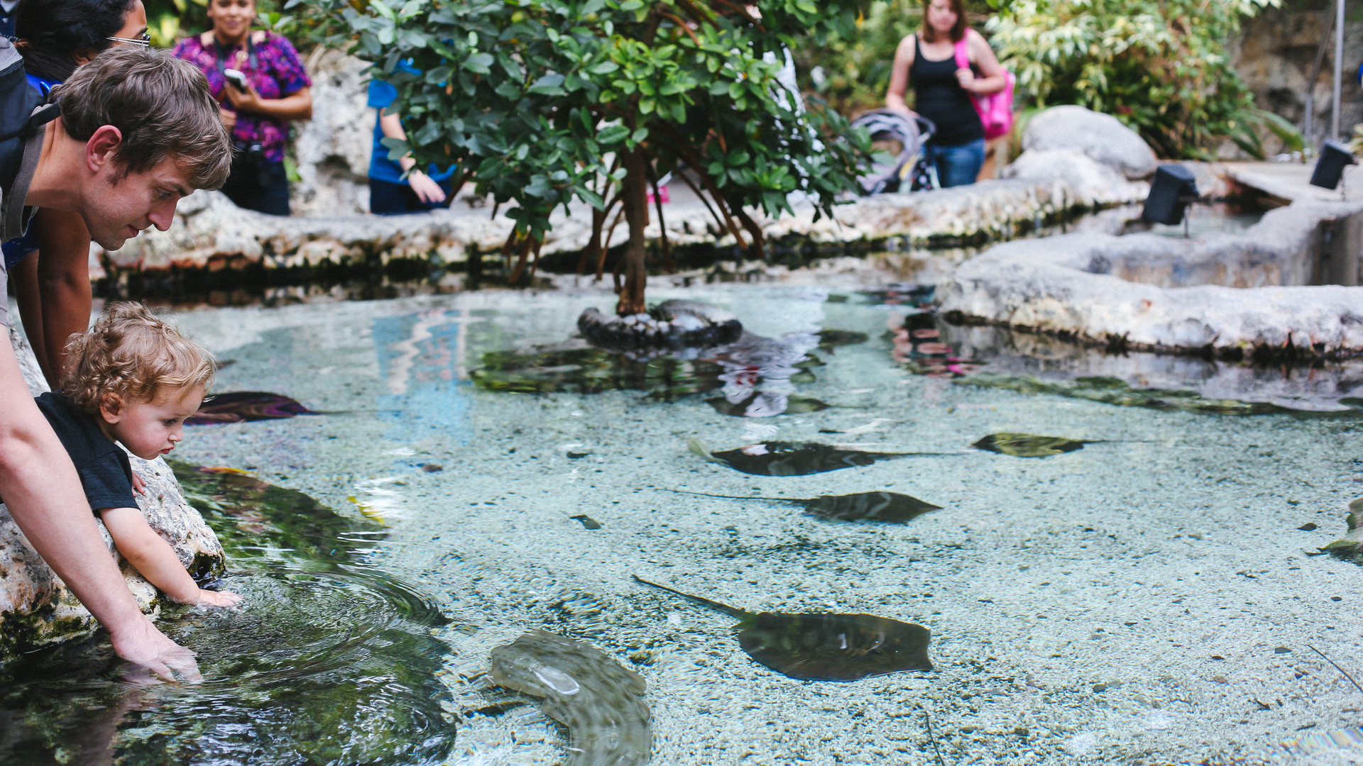 Nature at the Tennessee Aquarium