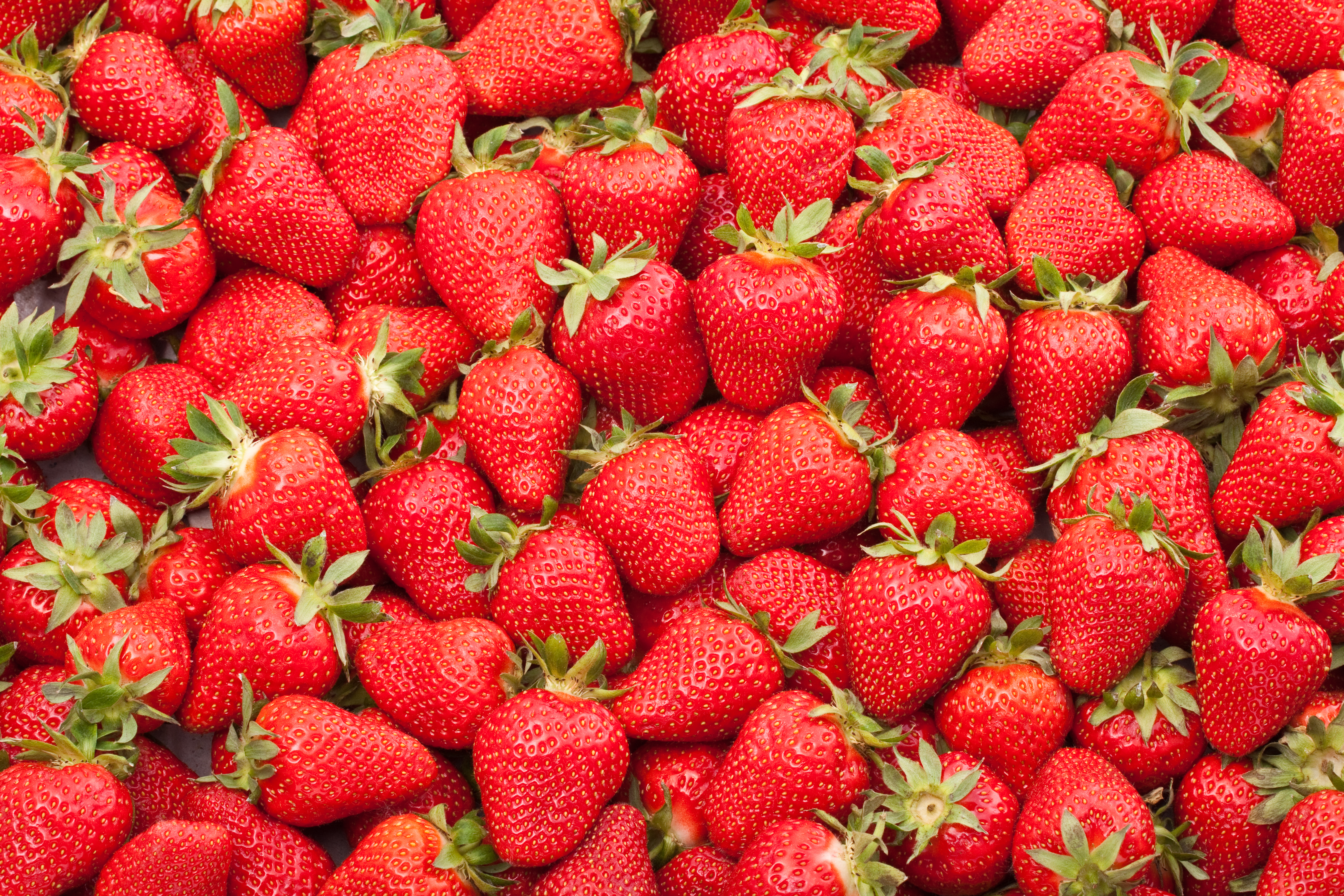 Pick fresh, locally-grown strawberries at Lucky Ladd Farms (Apr 17-Jun 1, weather permitting)! Admission required; first come basis.
