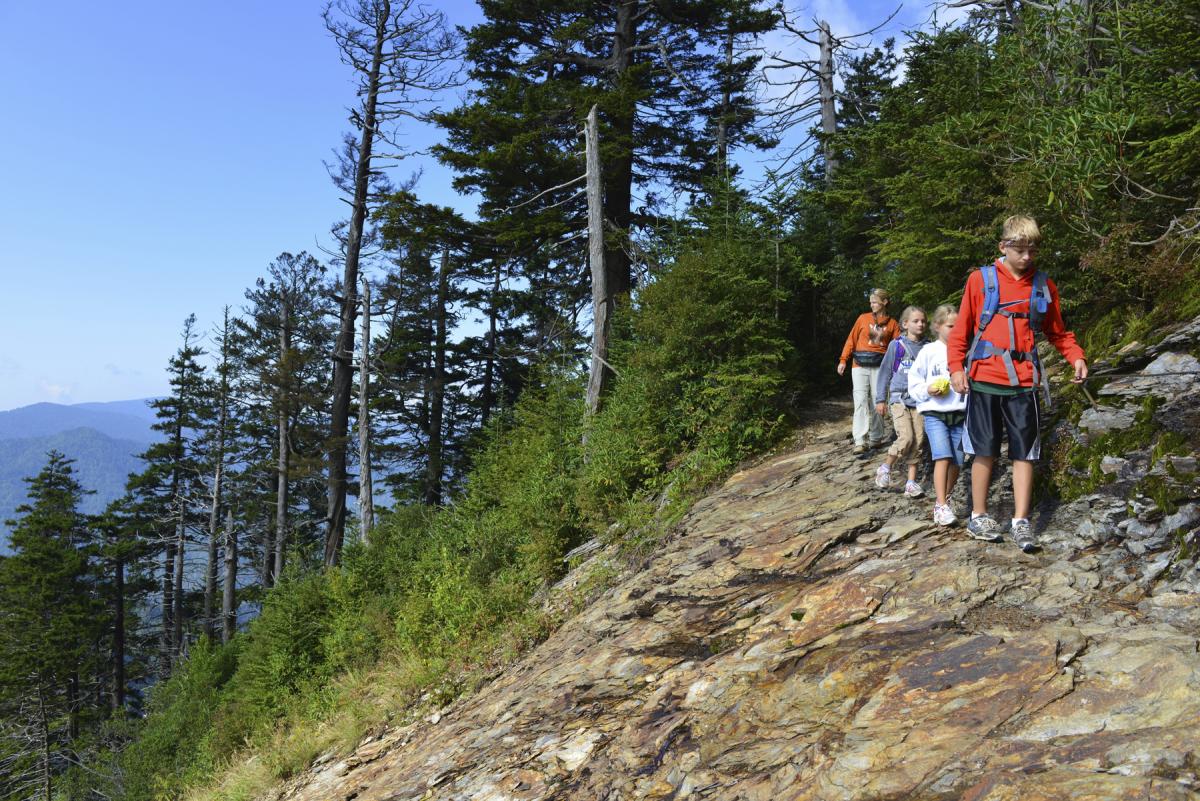 Hike the many trails located in the Great Smoky Mountains National Park