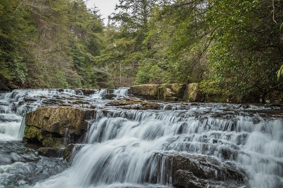 Savage Gulf State Park