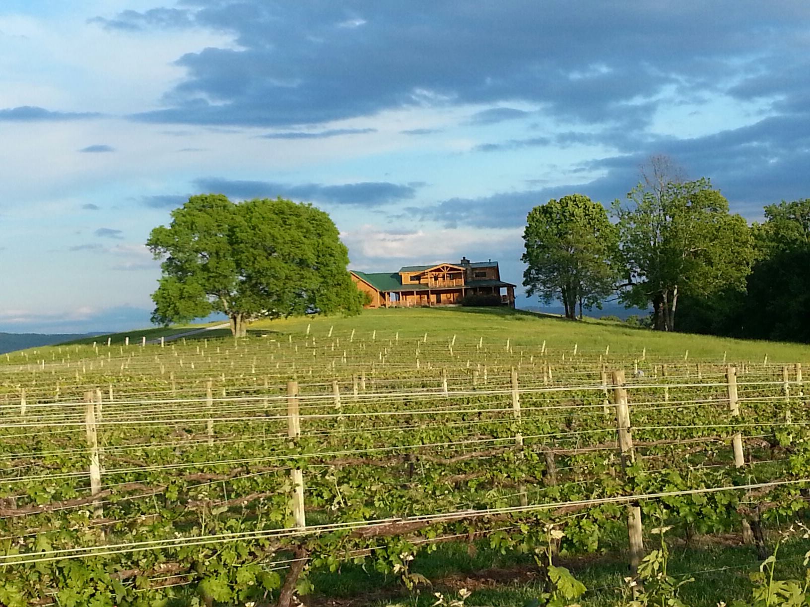 Spout Spring Estate Winery