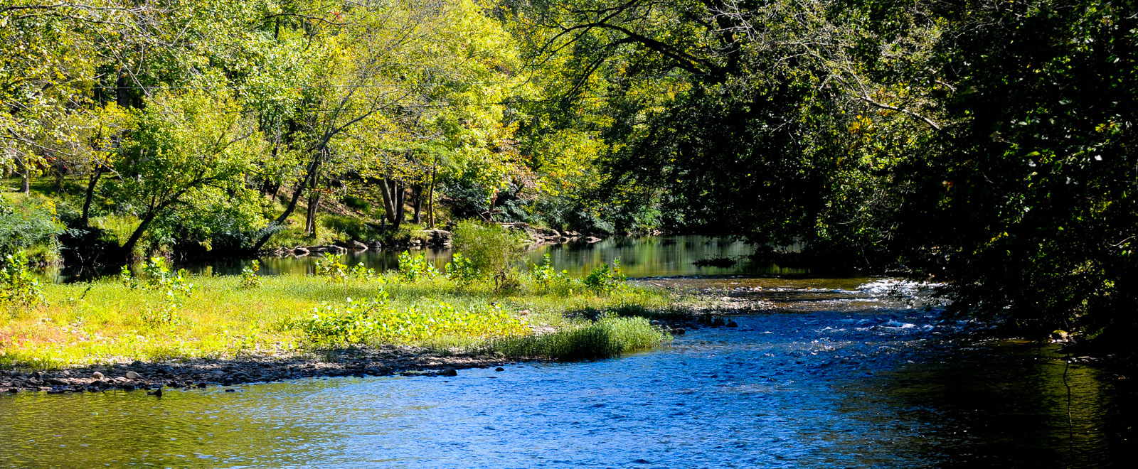 Camp on the Little River