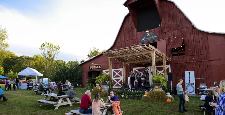 Music in the Vines at Arrington Vineyards in Arrington TN