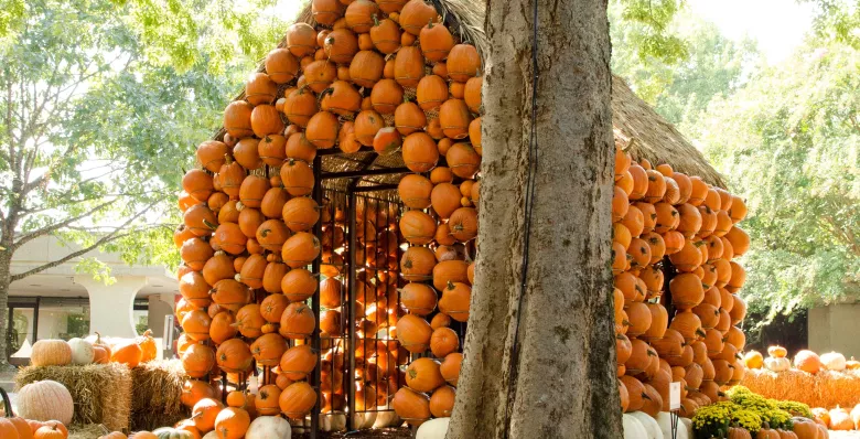 Pumpkin house during Cheekwood Harvest at Cheekwood in Nashville TN