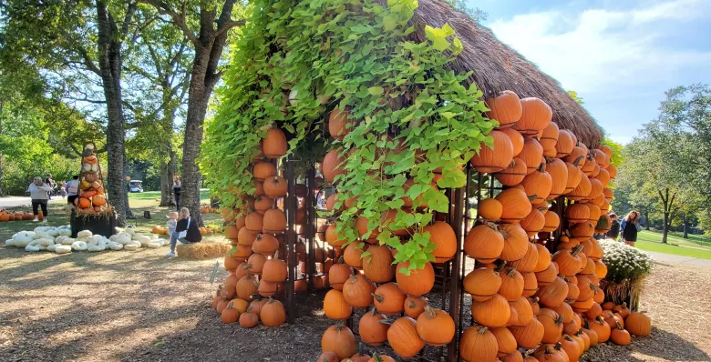 Pumpkin house at Cheekwood Estate &amp; Gardens in Nashville TN