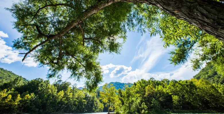 Nolichucky River in Erwin with mountains in the distance