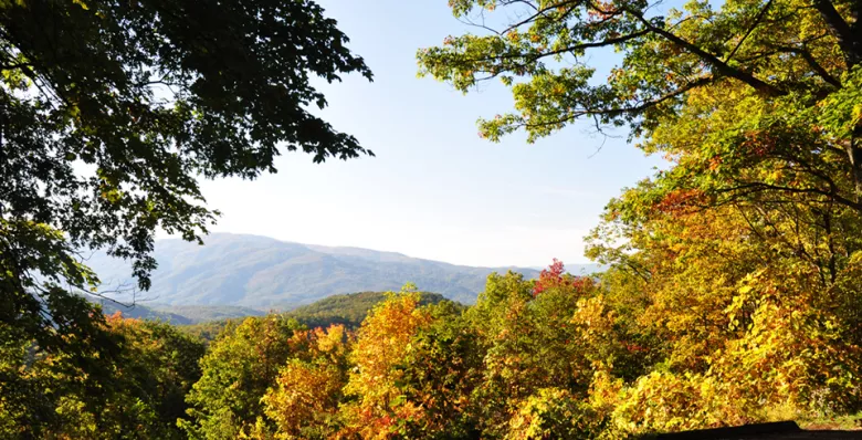 Roaring Fork Motor Nature Trail is a beautiful Tennessee scenic drive near Gatlinburg, TN.