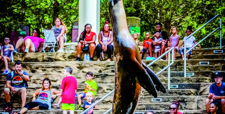 See animal shows at Memphis Zoo