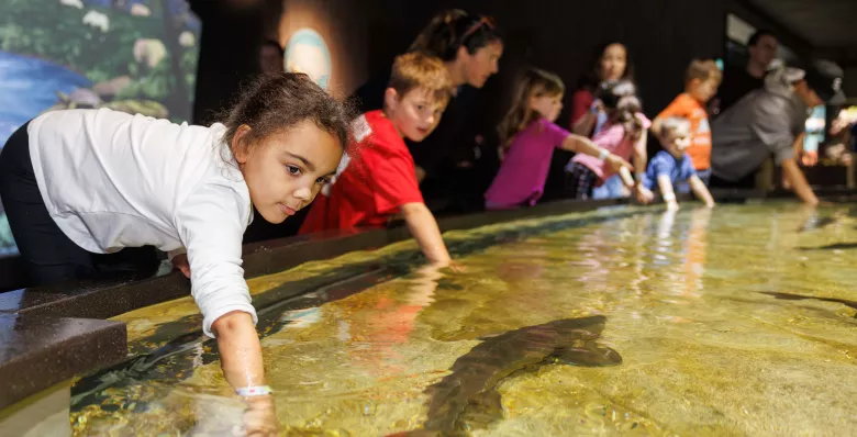 Interactive display at the Tennessee Aquarium in Chattanooga, TN