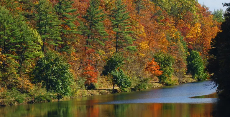 Steele Creek Park