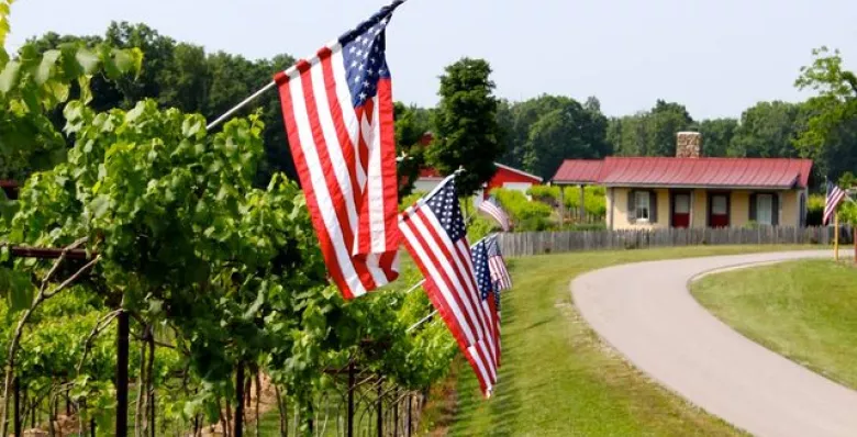 Amber Falls Winery