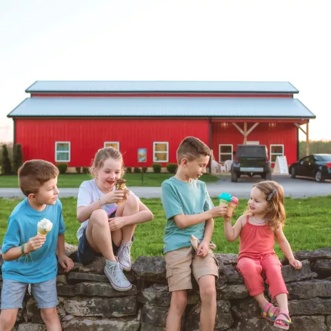 Shop Springs Creamery