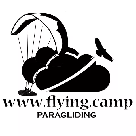 Flying Camp Paragliding logo