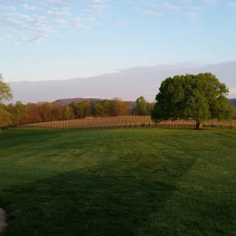 Beautiful estate vineyard and winery, and the view is magnificent!
