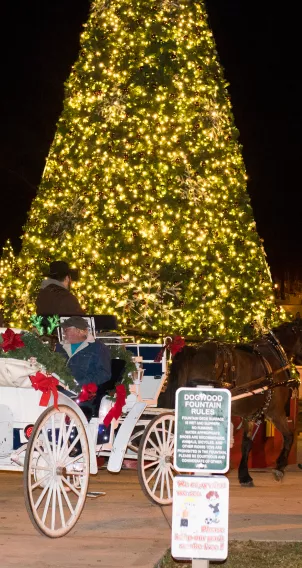 Carriage rides in Dogwood Park, Cookeville TN