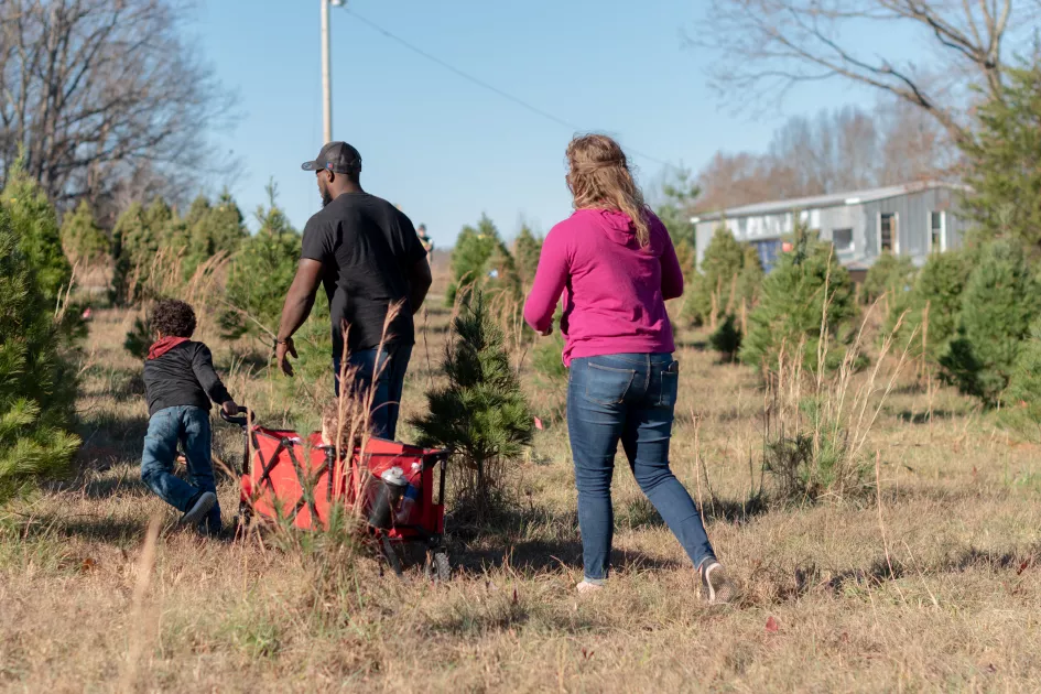 A family searches for the perfect Christmas tree.