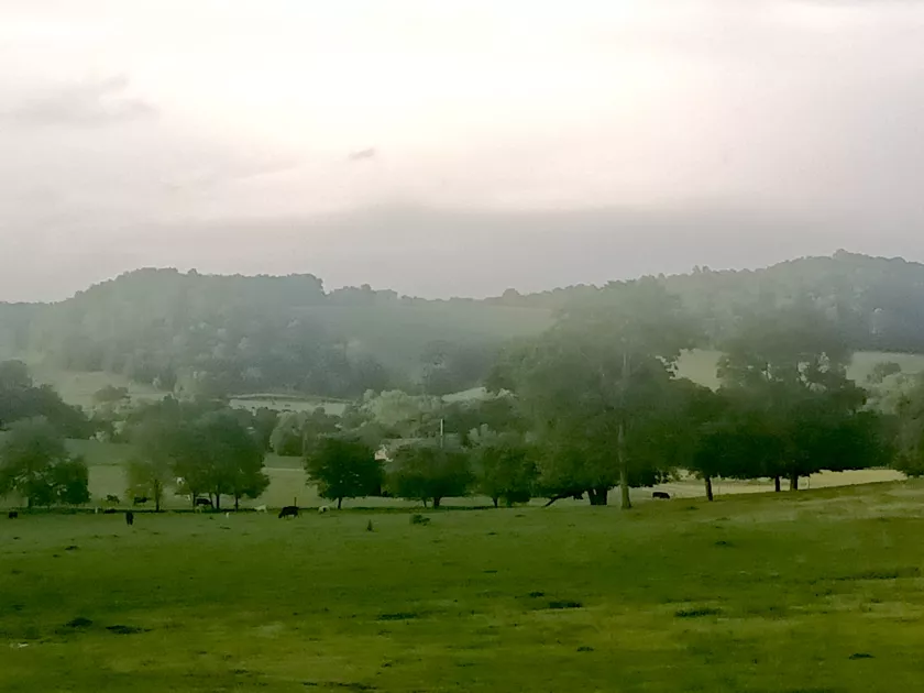 Campbellsville farm in early morning.