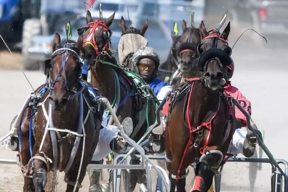 Harness Racing 1