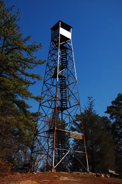 Take a hike to the fire tower for 360 degree views!