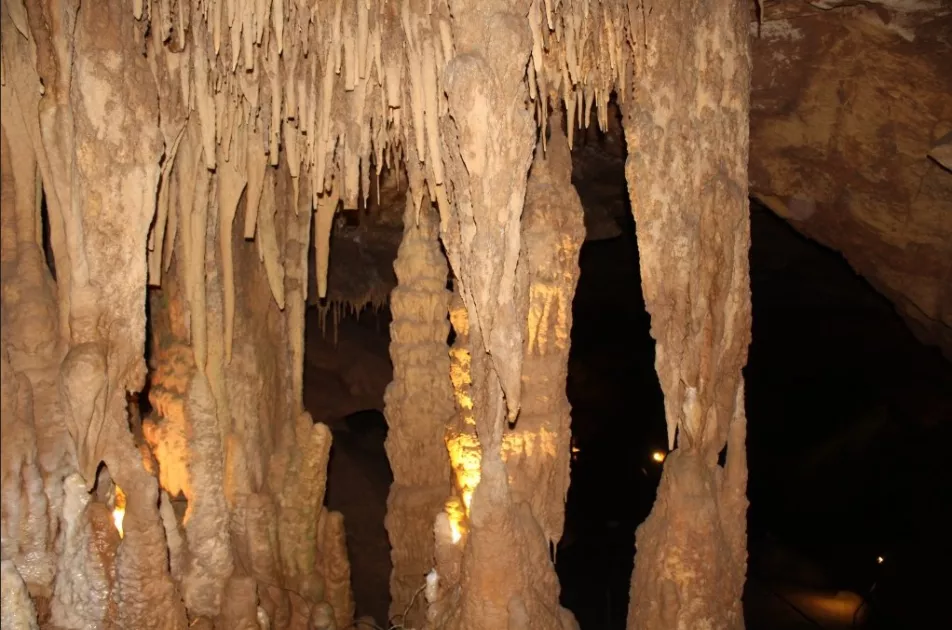 Millions of LIVING Formations - Tuckaleechee Caverns
