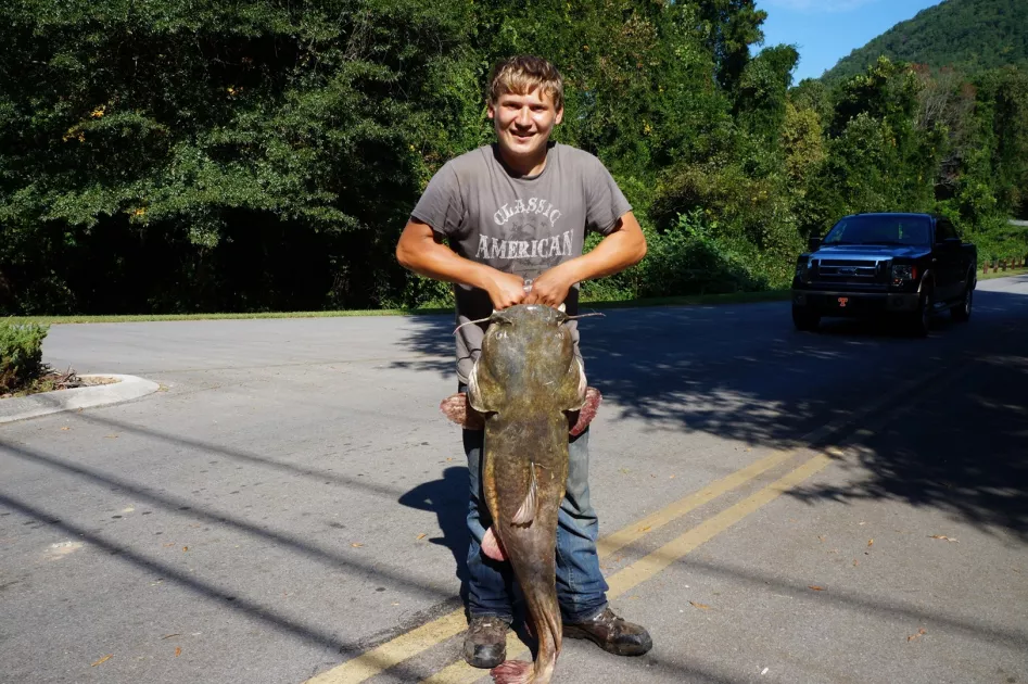 Tennessee River Gorge®