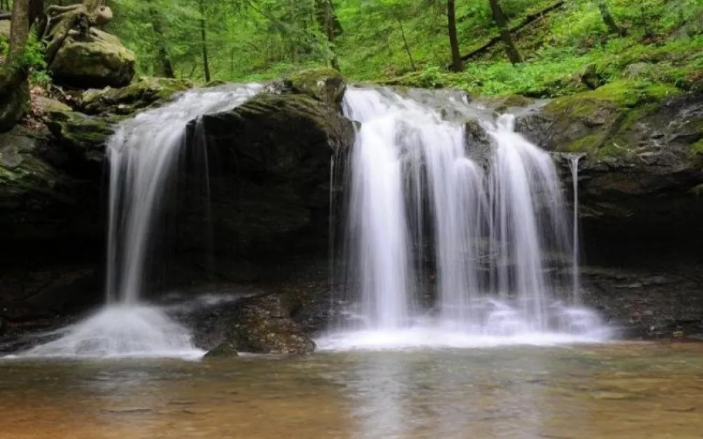 Frozen Head State Park