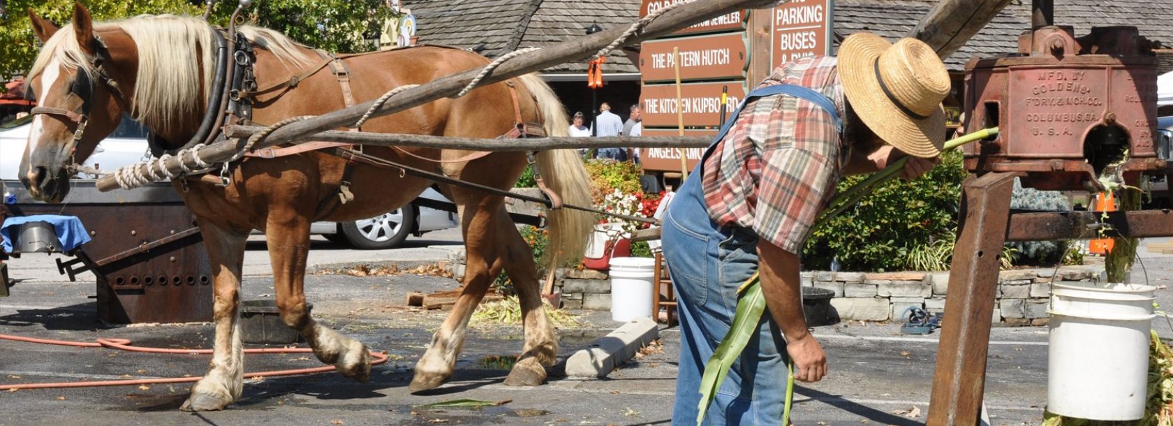 The Old Mill Heritage Day